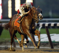 Funny Cide