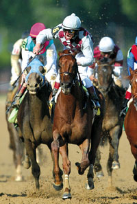 Funny Cide