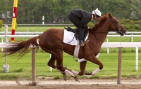 Funny Cide