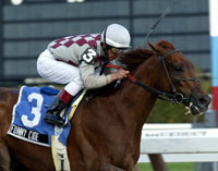 Funny Cide