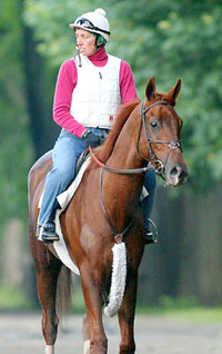 Funny Cide