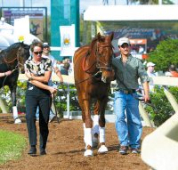 Funny Cide