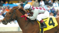 Funny Cide