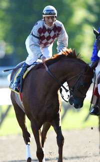 Funny Cide
