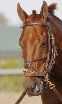Funny Cide