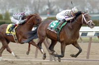 Funny Cide