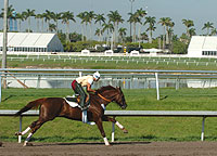 Funny Cide