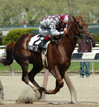 Funny Cide