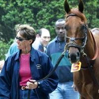 Funny Cide