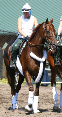 Funny Cide