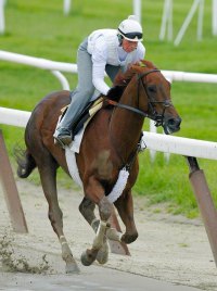 Funny Cide
