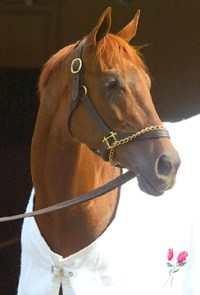 Funny Cide