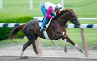 Funny Cide