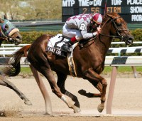 Funny Cide