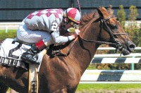 Funny Cide