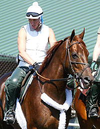 Funny Cide