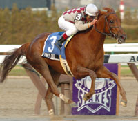 Funny Cide