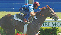 Funny Cide