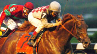 Funny Cide