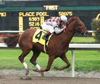Funny Cide