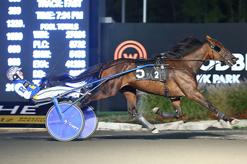 Gaines Hanover 10-21-22