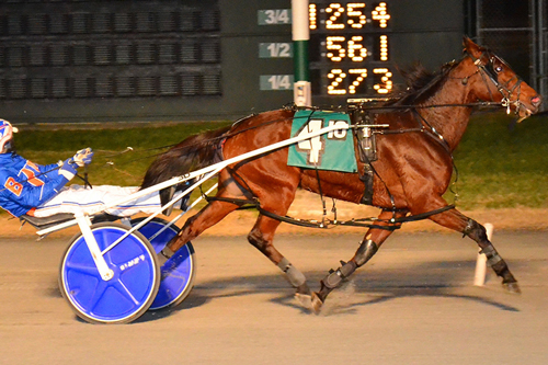 Gaitway Gal 12-14-22