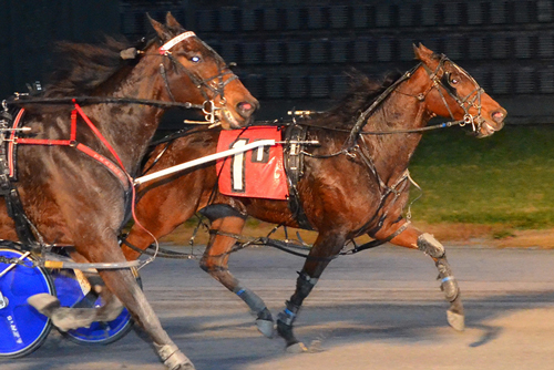 Gaitway Gal 12-7-22