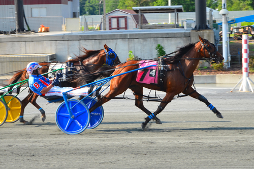 Gaitway Gal 6-14-22