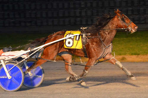 Gaitway Gal 11-30-22