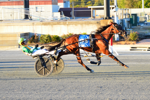 Gaitway Guy 10-10-22