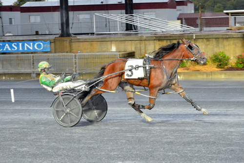 Gaitway Guy 10-3-22