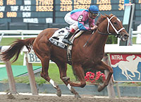 Galloping Grocer