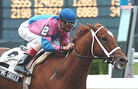 Galloping Grocer
