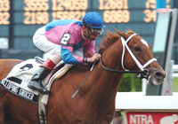 Galloping Grocer