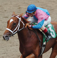 Galloping Grocer