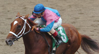Galloping Grocer