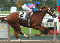 Galloping Grocer