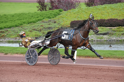 Gamblin Mo 5-15-21