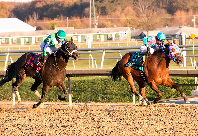 Gentlemen's Bet 11-14-2015