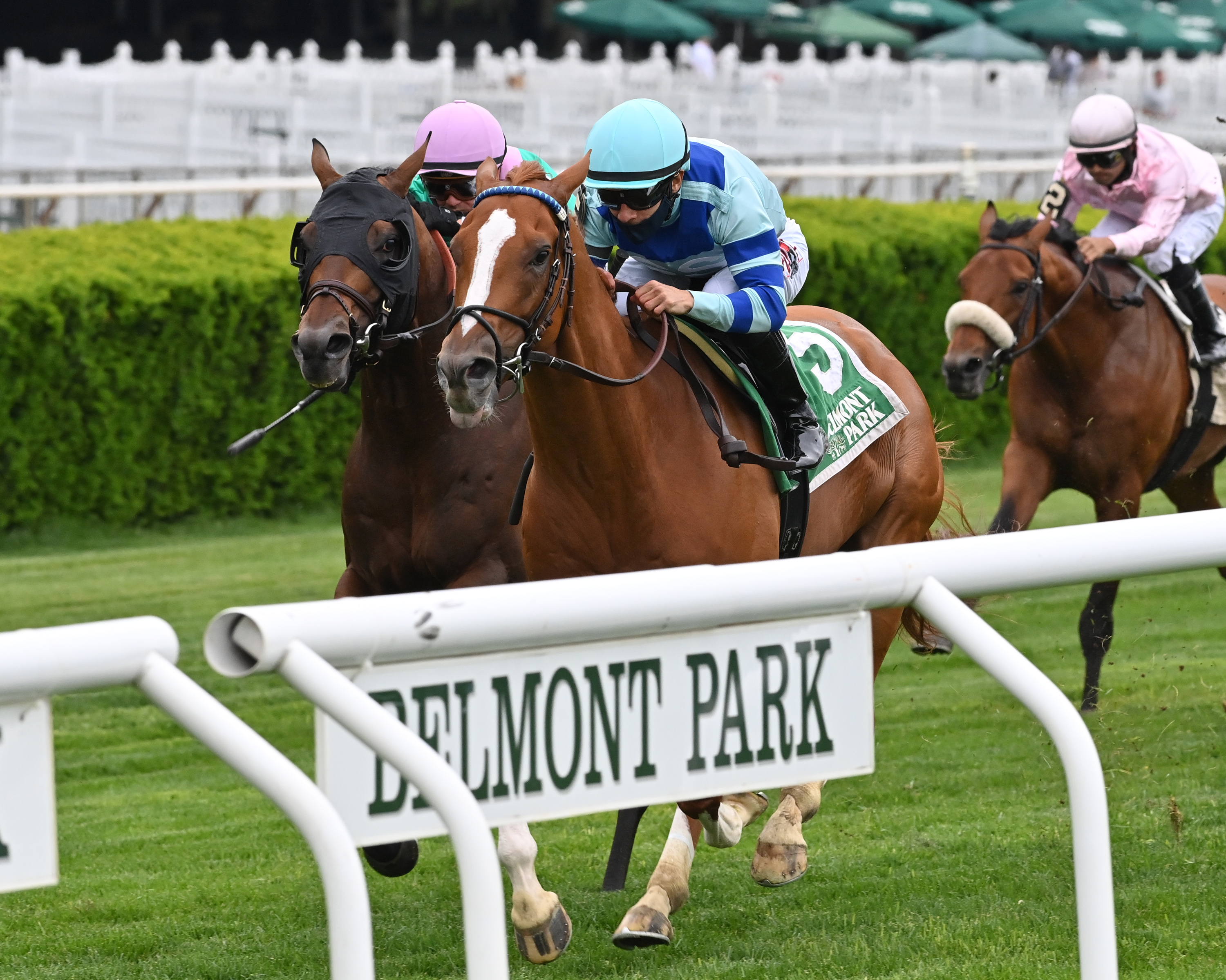 Get Smokin wins Seek Again 5-22-2021