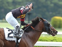 Ghostzapper