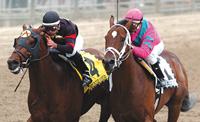 Ghostzapper & Saint Liam