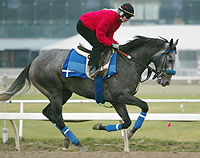 Giacomo