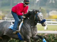 Giacomo