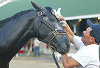 Giacomo
