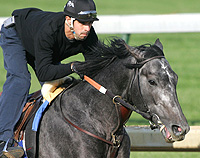 Giacomo