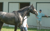 Giacomo