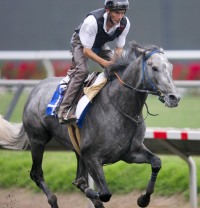 Giacomo