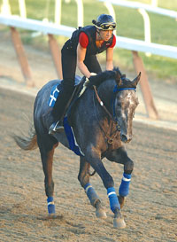 Giacomo