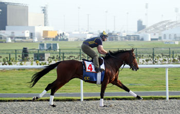 Gio Ponti